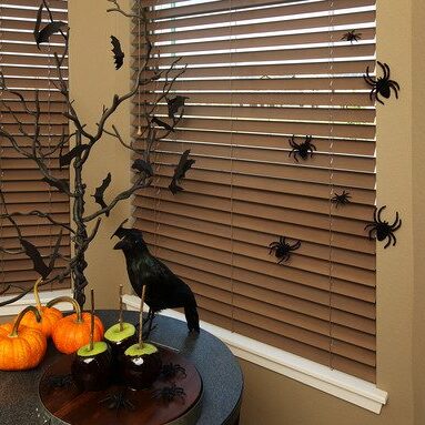 Window Treatment and Home Design Fall Sale at United Decorators ‘til 12:11:17